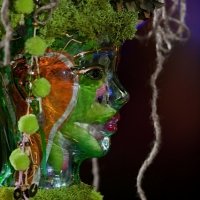 faribaameri_womenofallages-green05